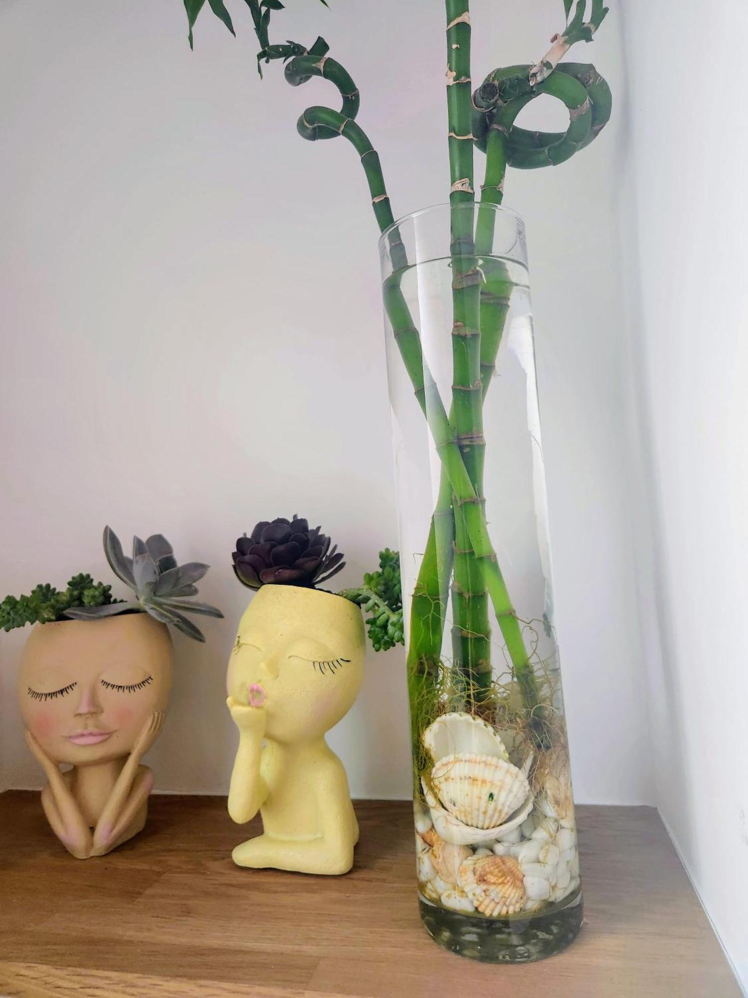 Estudio Con Terraza Badalona酒店 外观 照片